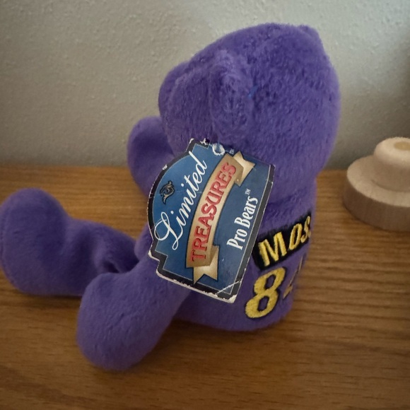 Minnesota Vikings Teddy Bear #84 Randy Moss - Picture 4 of 5